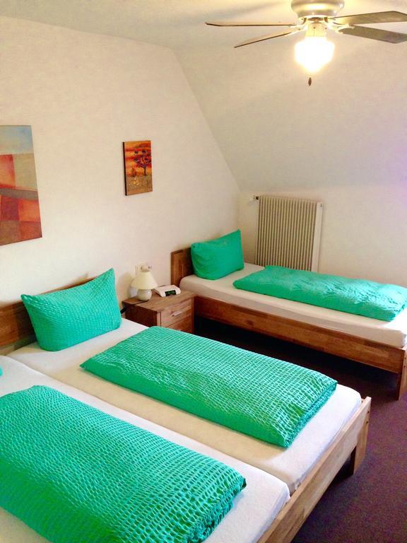Hotel-Zahringerstube Ноєнбург-ам-Райн Номер фото